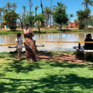 Um dia após aparição, jacaré não é mais visto em lago de área residencial