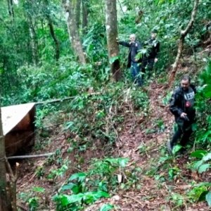 Pai acusado de estuprar por dez anos a própria filha se entrega para a polícia 