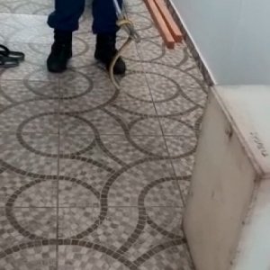 VISITA INDESEJADA: Cobra é encontrada em residência e assusta família