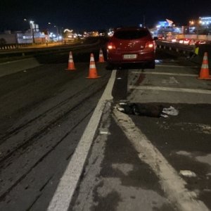 Ciclista e cachorro morrem ao serem atropelados na BR-101; pista é interditada