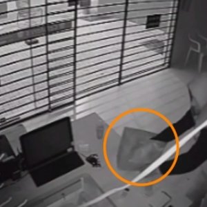 Criminoso conhecido por furtar casas e estabelecimentos 