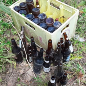 Município registra aumento de 517% no número de focos da dengue