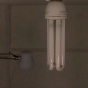 Faltou dinheiro para pagar a conta de luz? veja como parcelar em até 24 vezes