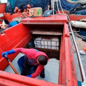 Mega operação PF: Cidades da Costa Esmeralda envolvidas em tráfico internacional