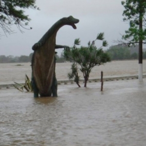Enchente de 2008 completa 13 anos; relembre a tragédia em fotos e dados históricos