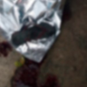 Homem é assassinado com pancada na cabeça; com impacto crânio chegou a rachar