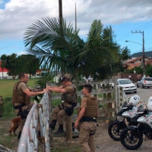 URGENTE: Buscas por criminoso foragido são retomadas após rapaz escapar novamente