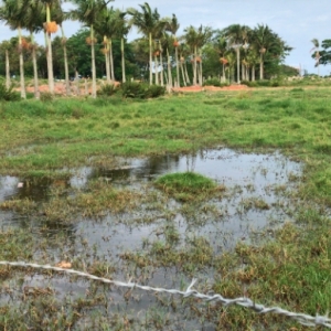 Preocupados com efeitos de novo loteamento, moradores cobram explicações