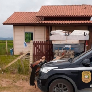 Filha e genro de idosa furtam móveis e eletrodomésticos de residência