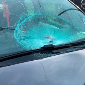 AGORA: Veículo argentino atropela adolescente em marginal da BR-101