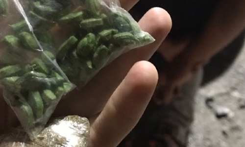 Criminosos que cumprem pena são flagrados vendendo drogas em festa