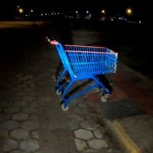 VÍDEO: carrinho de supermercado é abandonado em terreno baldio