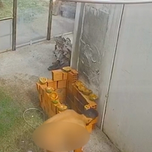 EM TIJUCAS: homem invade terreno de casa, se masturba e foge nu do local