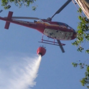 Fogo atinge aproximadamente 20 hectares de vegetação e leva 8h para ser contido