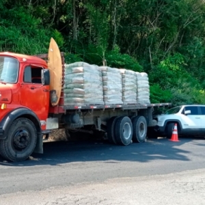 Caminhão sofre pane em subida de morro, volta de ré e atinge carro