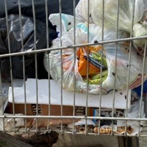Moradores sofrem com lixo e  moscas depositado em frente a residência