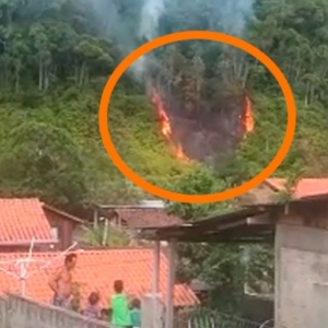 VÍDEO: vegetação pega fogo e população assustada aciona bombeiros