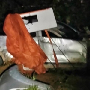 Carro sai da pista e colide violentamente contra árvore às margens de rodovia