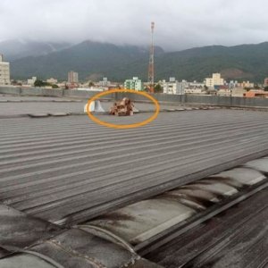 Criminosos inovam e utilizam equipamento de rapel para furtar estabelecimento
