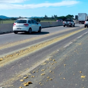 Caminhão derrama carga de bagaço de laranja e deixa BR-101 interditada