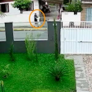 Ataque de Pitbull que deixou idosa em estado grave é investigado