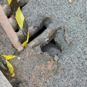 Prefeitura retira calçada construída por moradores; população reivindica situação