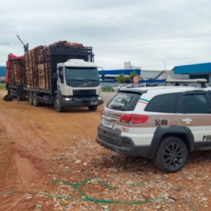 Fiscalização da PM multa motoristas de caminhões carregados de madeira