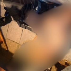Jovem é encontrado morto com marcas de lesões e sangramento no nariz