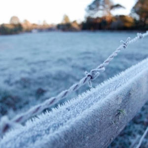 Prepare o fogão a lenha: Frio intenso chega com temperaturas próximo de 0º