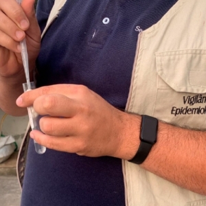 Dengue: cinco pacientes estão internados com a doença; um está na UTI