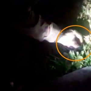 Após perseguição em alta velocidade traficante é capturado