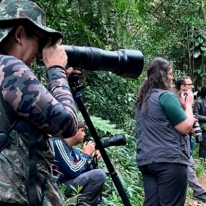 Aves monitoradas podem ser apreciadas através de projeto Catarinense