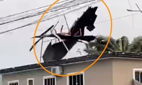 BOMBINHAS -  Queda de árvore deixa acesso à cidade obstruído e telhado de casa é arrancado