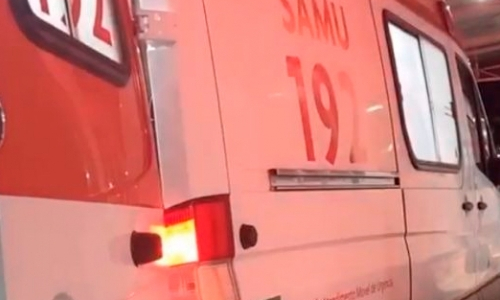Pai e filho brigam de foice e cachorro ataca durante desentendimento