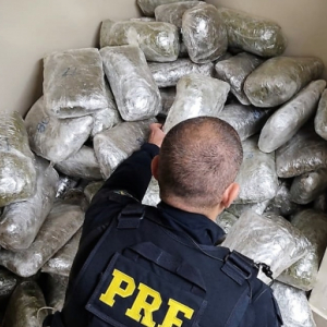 Grande quantidade da “supermaconha” é encontrada em fundo falso de caminhão