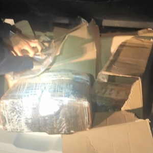 Carga de maconha com valor estimado em R$ 130 mil é apreendida na BR-101