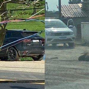 TIJUCAS - Motorista de carro luxuoso atropela capivara na SC-410