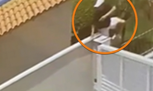 MAIS UM - Homem que furtou presentes em Tijucas é visto invadindo outra casa
