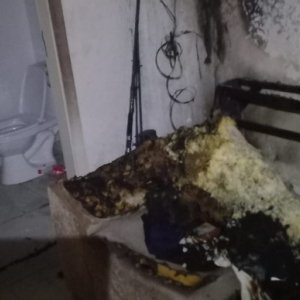 Briga entre primos quase termina em tragédia após incêndio