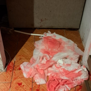 Mãe é esfaqueada diversas vezes pelo companheiro ao tentar salvar filha de estupro