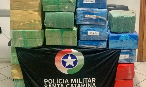 Quase 500 kg de maconha são apreendidas; valor chegaria a um milhão