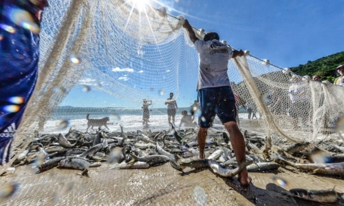 Município leva 1° lugar em concurso internacional com a pescada tainha