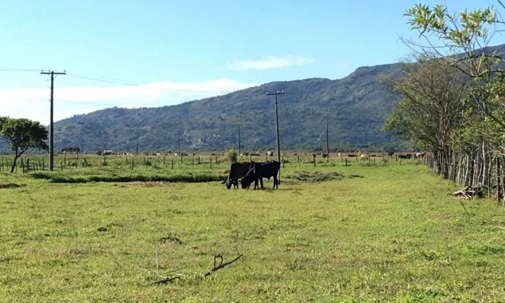 Homem sofre ataque durante banho e morre na Nova Descoberta, em Tijucas