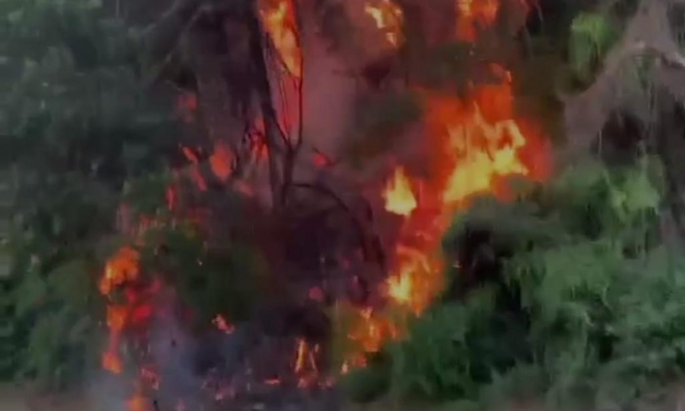 Queimadas para limpeza podem ter causado incêndio em Governador Celso Ramos 