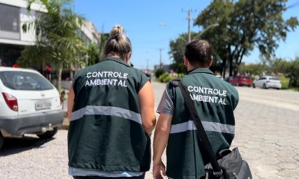 Alerta: Tijucas ultrapassa 500 casos de dengue 