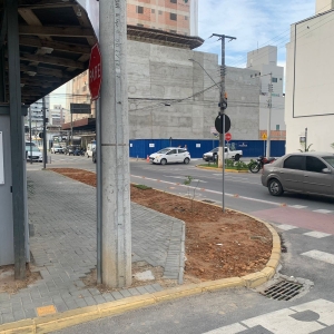 Falta de acessibilidade em calçadas de avenida prejudica pedestres 