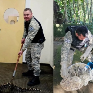 Guarda Municipal enfrenta animais silvestres em treinamento 