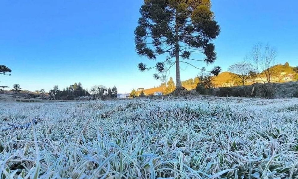 Frio ‘congelante’, geada e chuva devem marcar a semana