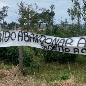 ‘Sujeito a cacete’: faixa em Tijucas alerta contra o abandono de animais 