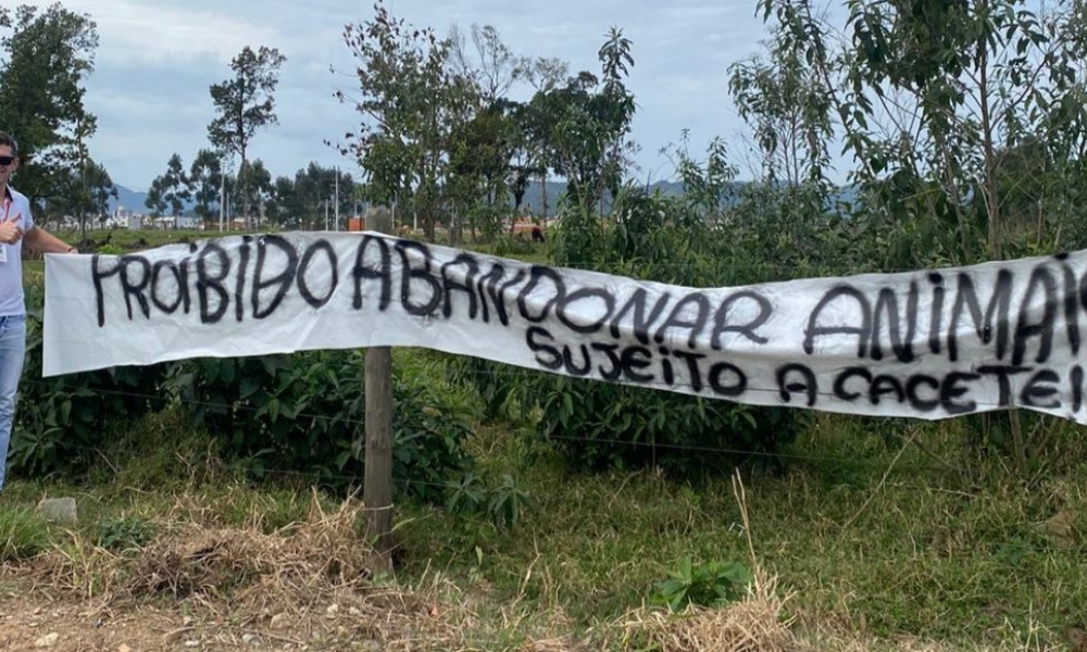 ‘Sujeito a cacete’: faixa em Tijucas alerta contra o abandono de animais 